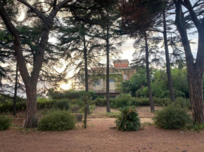 Villa Leucatia Charme & Relax Sant'agata Li Battiati